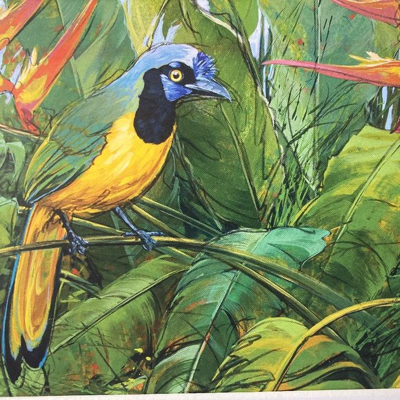 8x10" Colombia Cafe Quindio Art Print (w/mat): Green Jay- HOME - Picture 3 of 8